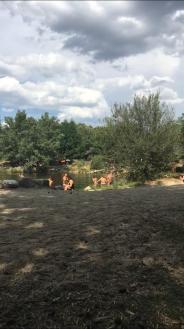 Usen_Blog__html_f6bb6cac